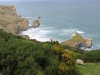 Albums/20060200-New Zealand 2006/20060314-Dunedin/72